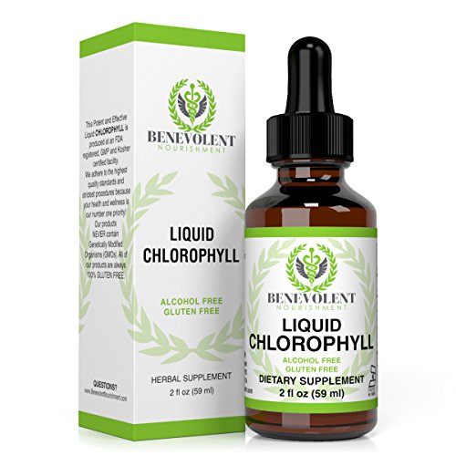 Liquid Chlorophyll Dietary Supplement. Natural Herbal Drops Are Potent and Effective, Easy to Take, Absorb Fast to Best Help Your Immune System and Boost Energy. Alcohol Free. Gluten Free. 2oz Bottle.