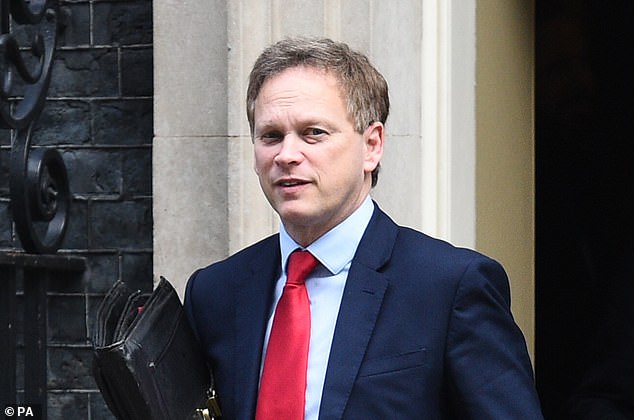 UK Transport Secretary Grant Shapps (pictured) revealed on Tuesday that the UK were set to make deals with several countries about the idea of air bridges