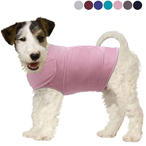 Vivaglory Anxiety Shirt with Stress Relief and Anti-Anxiety Effect for Dogs, Pink, XXS