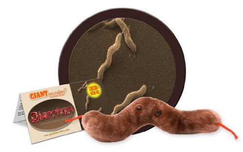 Giant Microbes Diarrhea (Campylobacter jejuni) Plush Toy