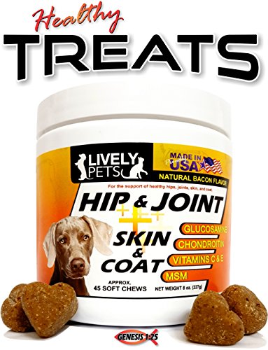 Premium Hip and Joint Soft Chews + Skin and Coat Supplement Glucosamine Chondroitin for Dogs MSM Omega 3 Healthy Dog Treat for Arthritis Hip Dysplasia Pain Relief Hip Joint Dogs Supplements for Joints