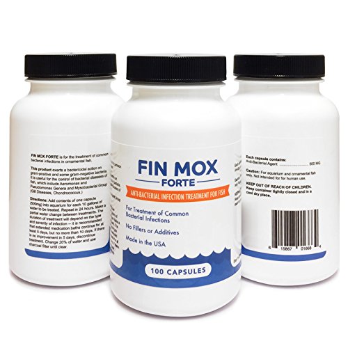 Fin Mox Forte (500mg / 100 Capsules) for Fish