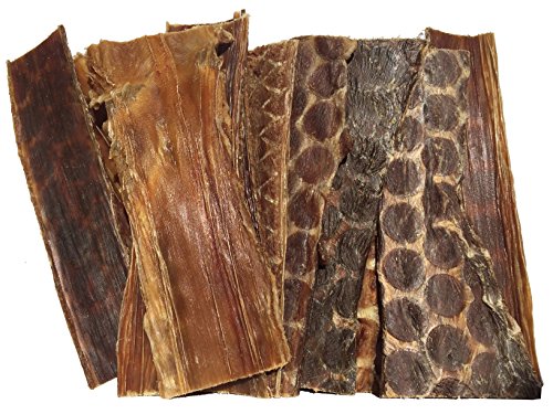 Beef Esophagus for Dogs 6 inches | | All Natural Beef Chews | Meat Jerky treats from Free-Range Grass Fed Cattle with No Hormones, Additives or Chemicals | From 123 Treats by 123 Treats