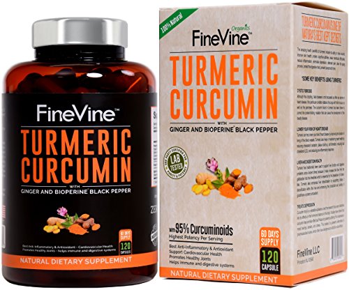 Turmeric Curcumin with BioPerine Black Pepper and Ginger - Made in USA - 120 Vegetarian Capsules for Advanced Absorption, Cardiovascular Health, Joints Support and Anti Aging Supplement.