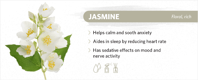 scents-to-help-you-sleep-jasmine