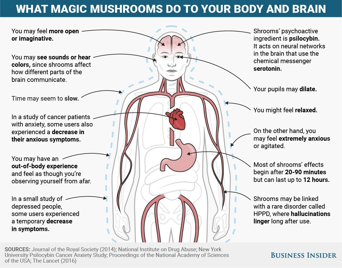 magic mushrooms