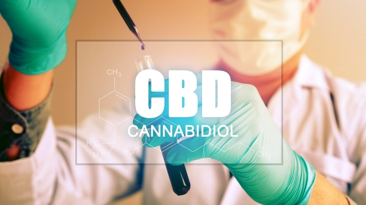 CBD Show Up on a Drug Test
