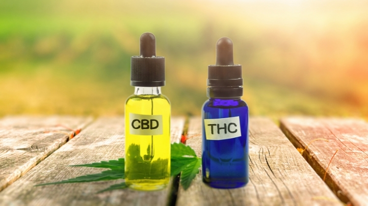 CBD Vs. THC